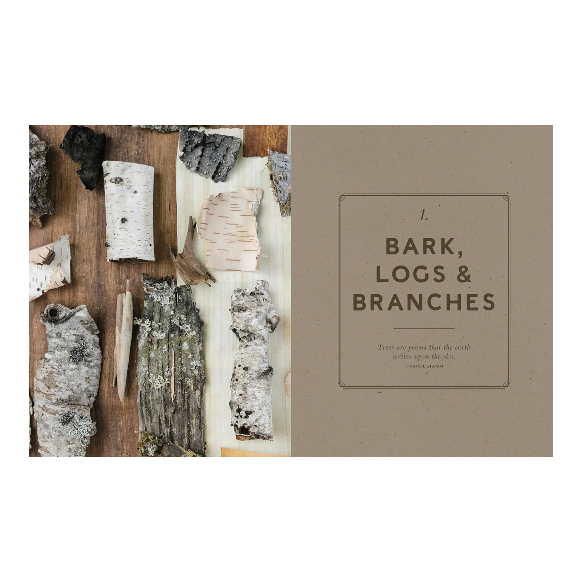 Wonder of the Woodlands: The Art of Seeing and Creating with