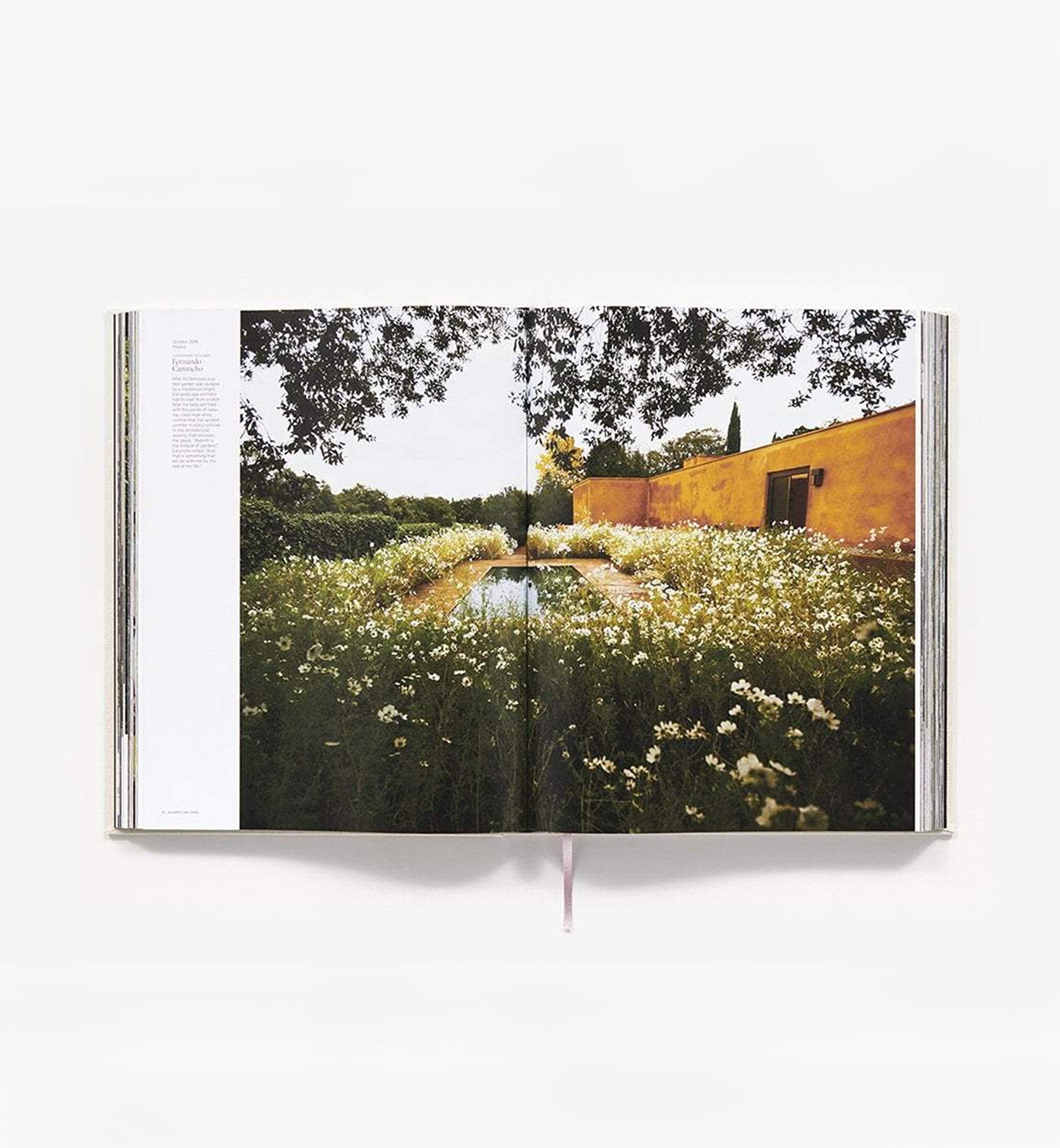 Architectural Digest At 100: A Century Of Style Book – Cadine