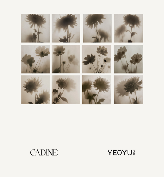 Cadine x Yeoyu