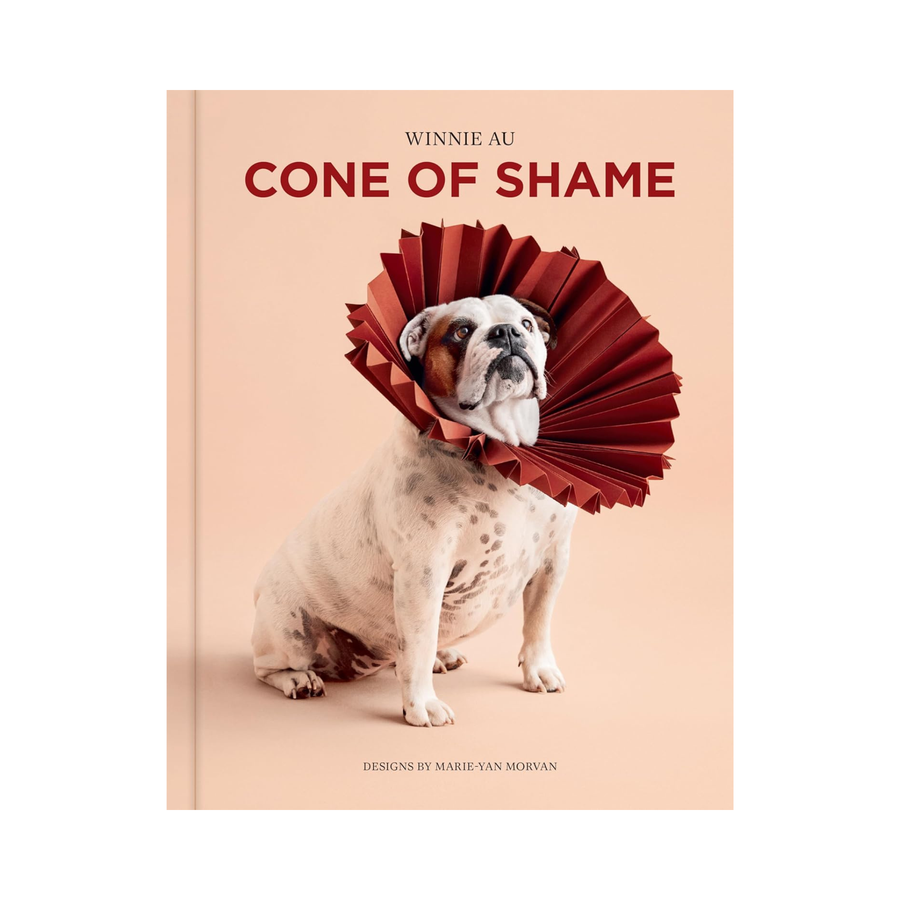 Cone of Shame Book