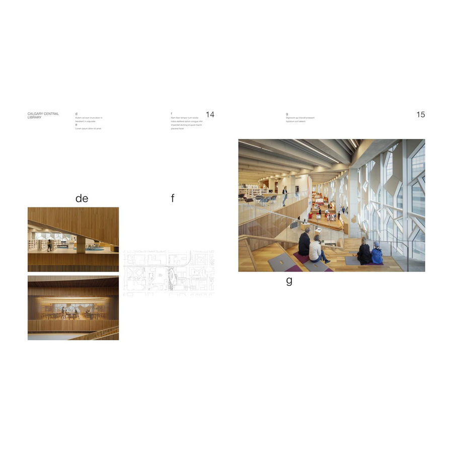 Buildings for Books: Contemporary Library Architecture Book