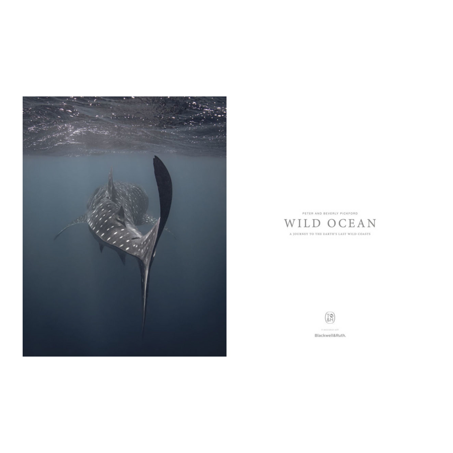 Wild Ocean: A Journey to the Earth's Last Wild Coasts Book