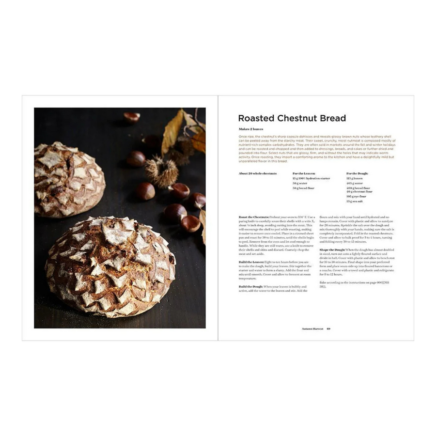 Sourdough: Recipes for Rustic Fermented Breads, Sweets, Savories, and More Book