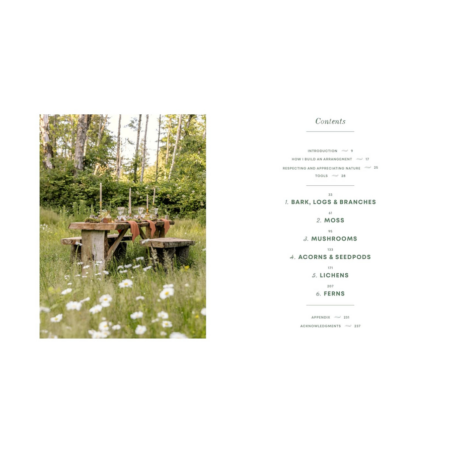 Wonder of the Woodlands: The Art of Seeing and Creating with Nature Book