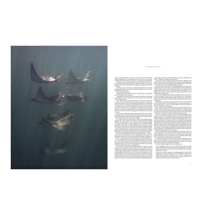 Wild Ocean: A Journey to the Earth's Last Wild Coasts Book