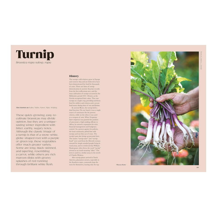 The Seed Hunter: Discover the World's Most Unusual Heirloom Plants Book