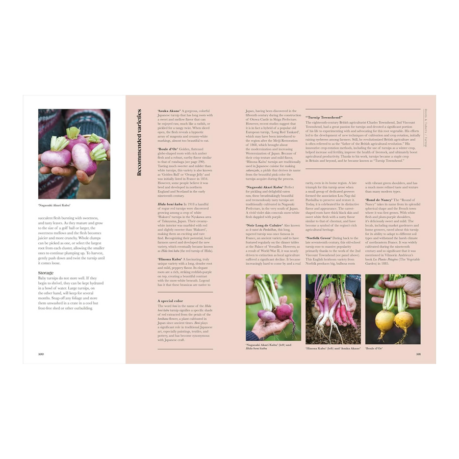 The Seed Hunter: Discover the World's Most Unusual Heirloom Plants Book