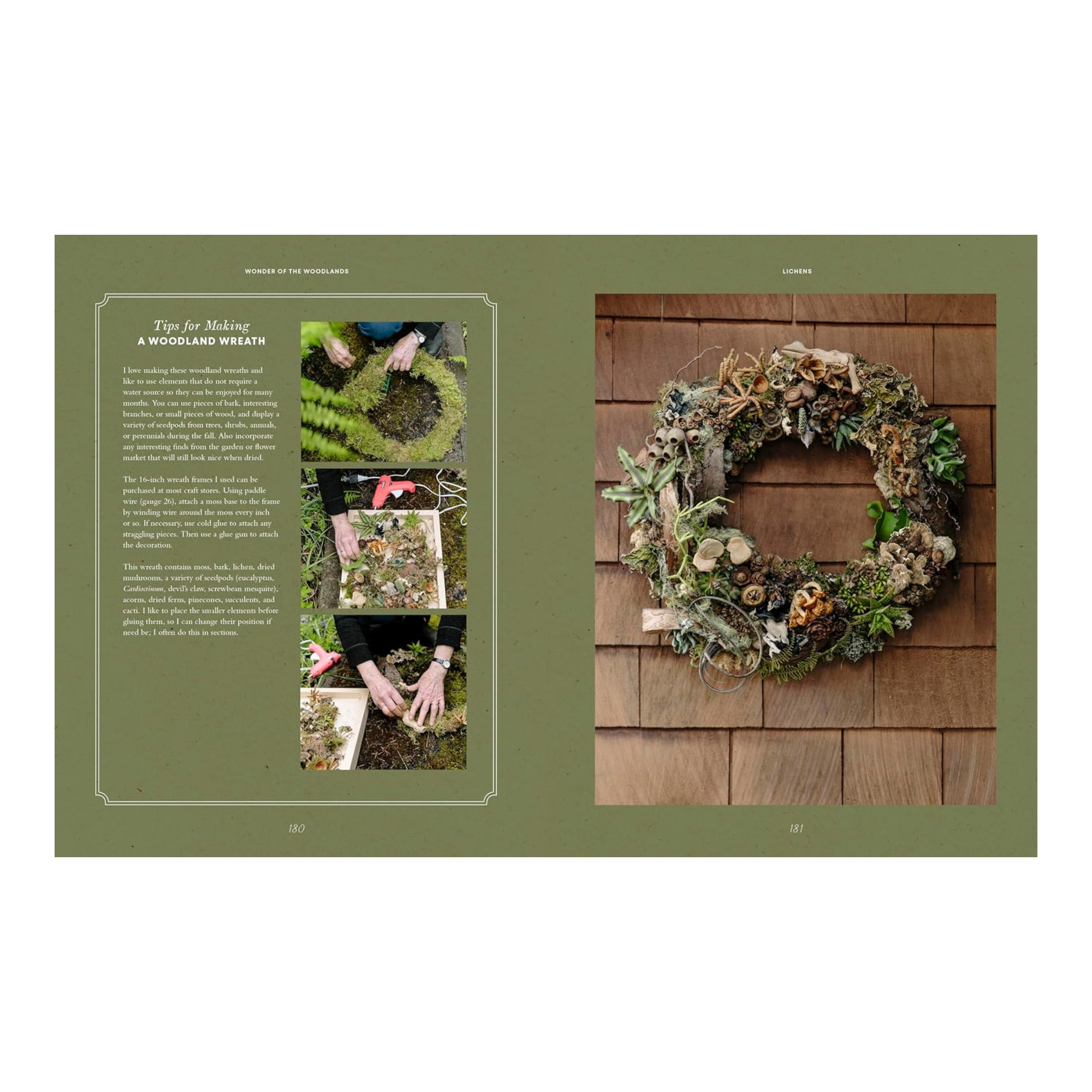 Wonder of the Woodlands: The Art of Seeing and Creating with