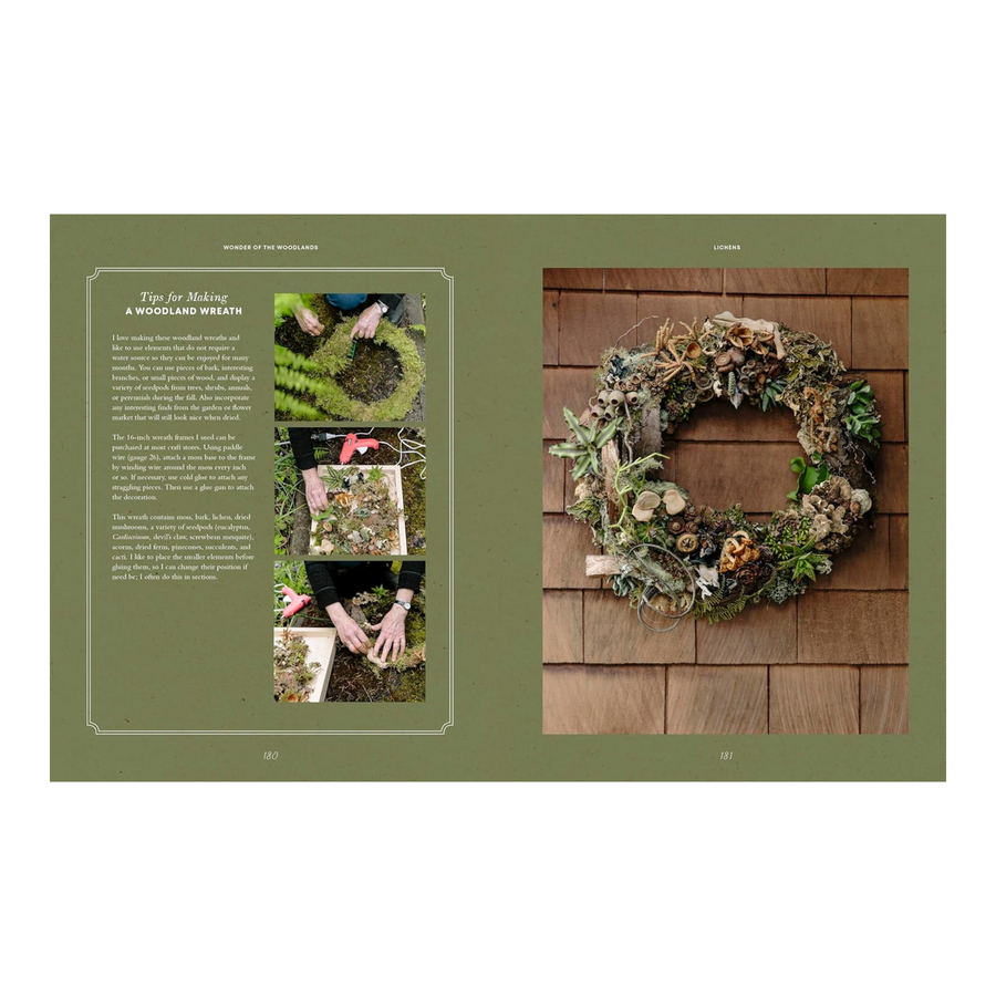 Wonder of the Woodlands: The Art of Seeing and Creating with Nature Book