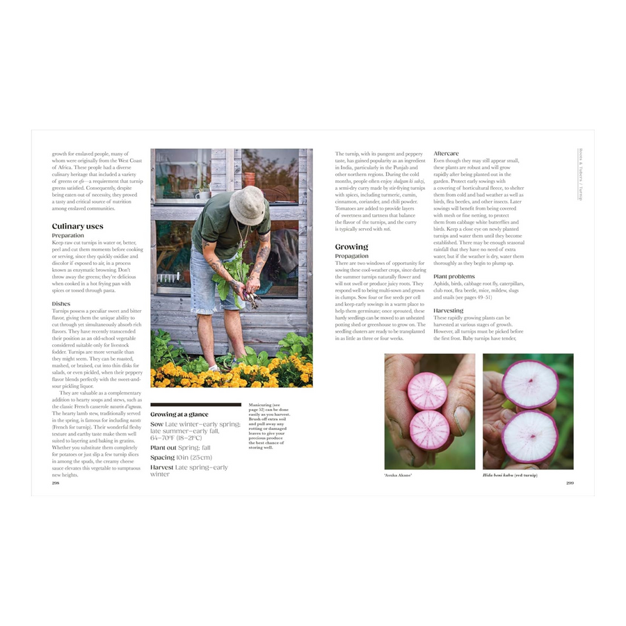 The Seed Hunter: Discover the World's Most Unusual Heirloom Plants Book