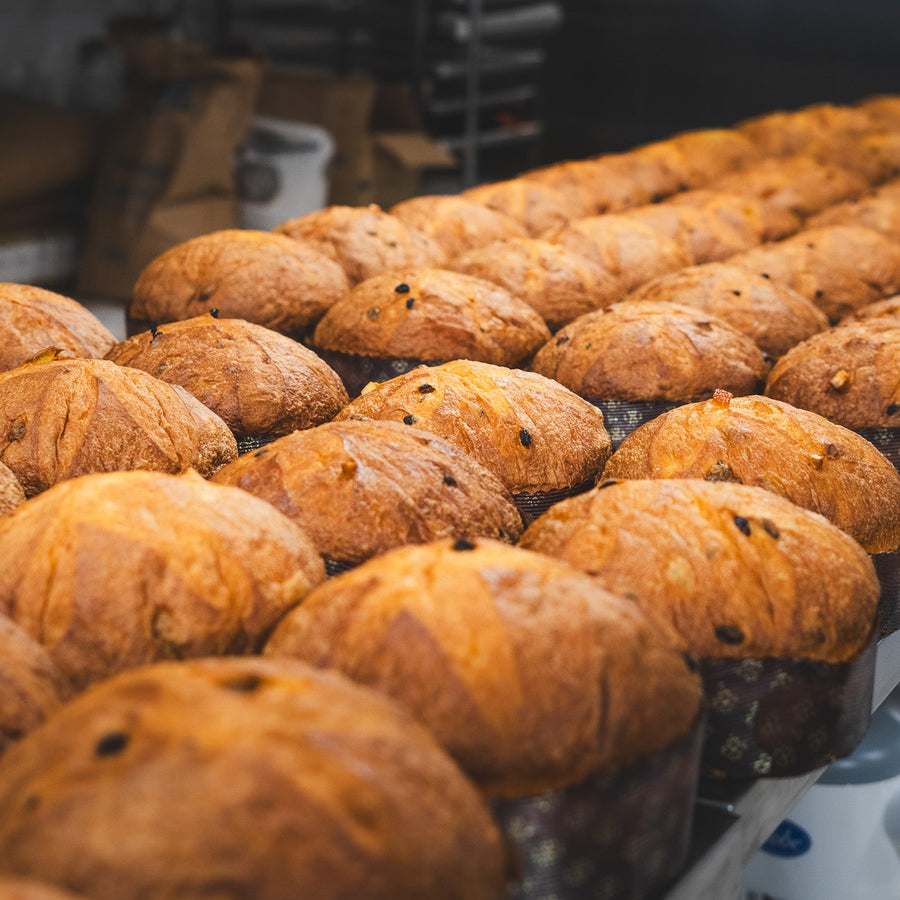 Panettone Cioccolato