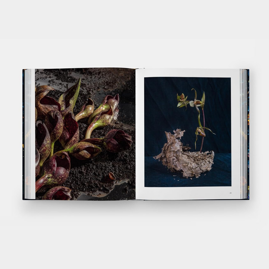 Emily Thompson Flowers Book