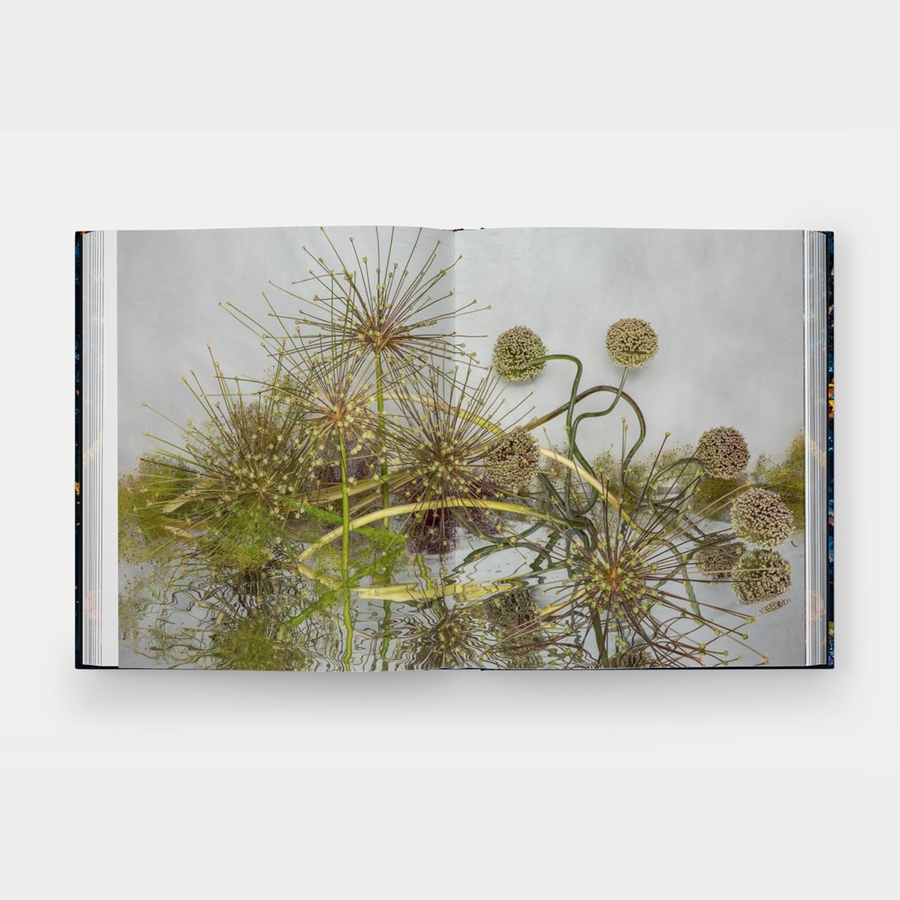 Emily Thompson Flowers Book