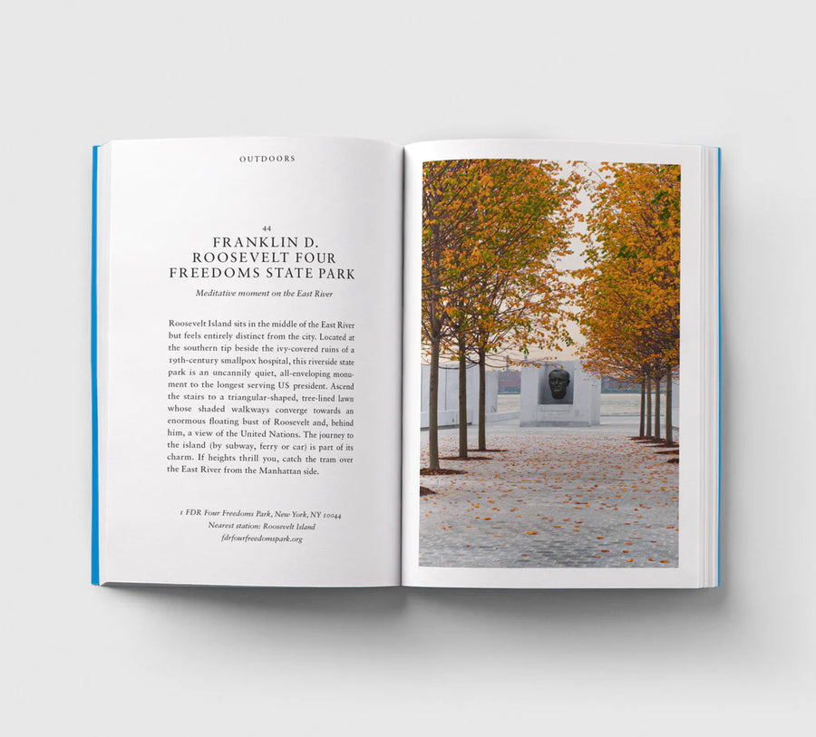 An Opinionated Guide to New York Book
