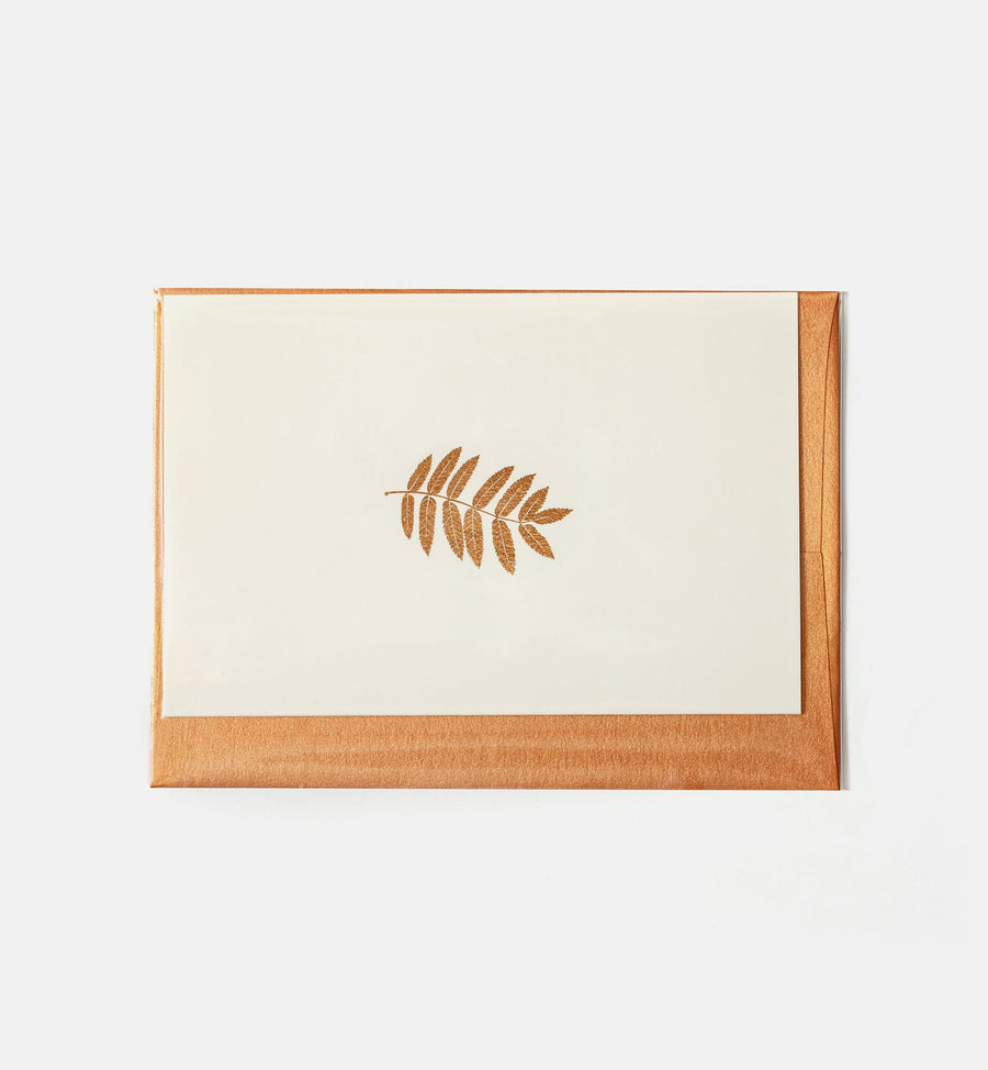 Cadine Greeting & Note Cards Greeting Card - Fern