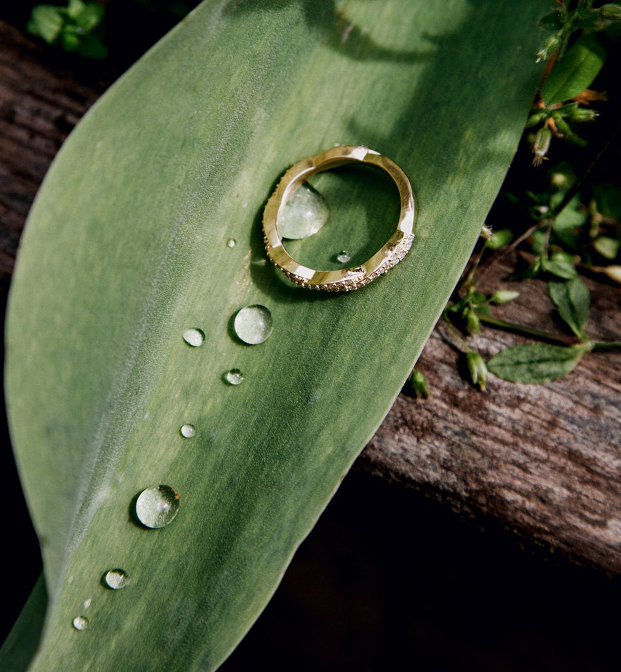 Cadine Ivy Ring - 14kt Solid Gold