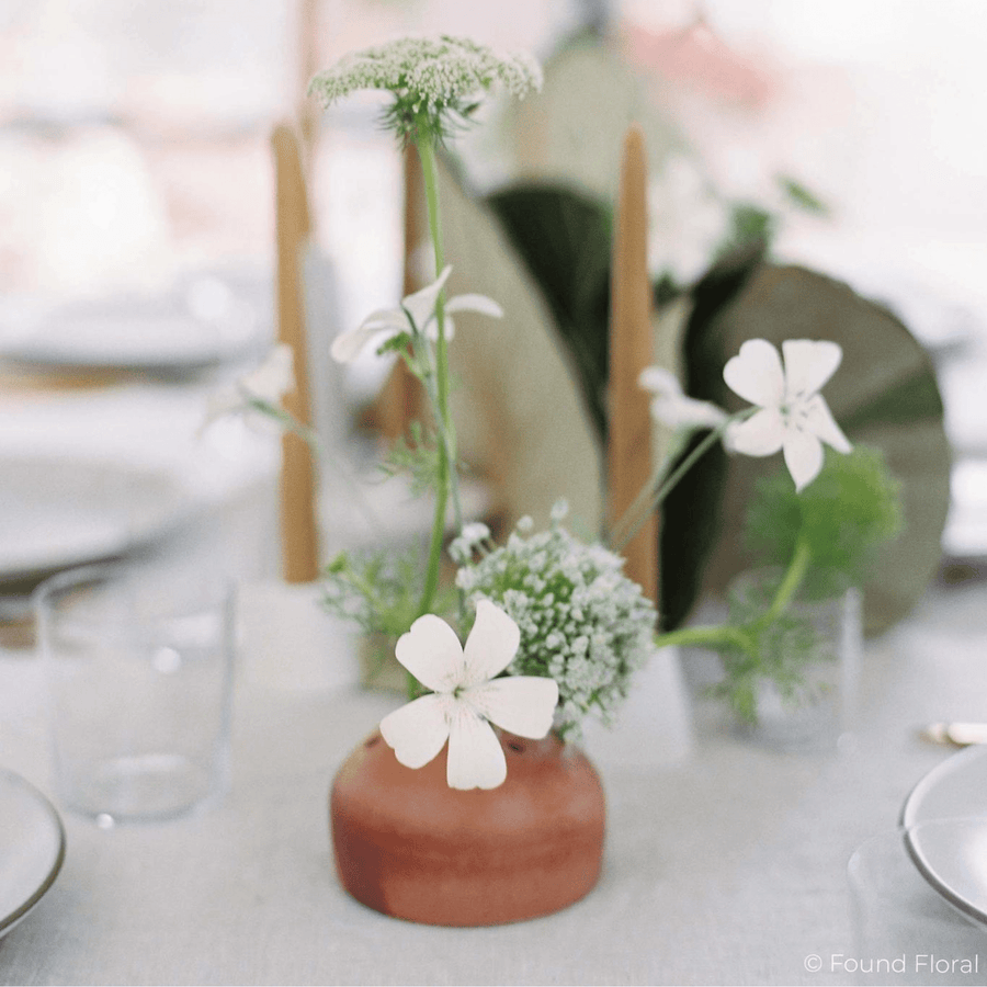 Cadine Vases Cupola Flower Frog Vase - Terracotta