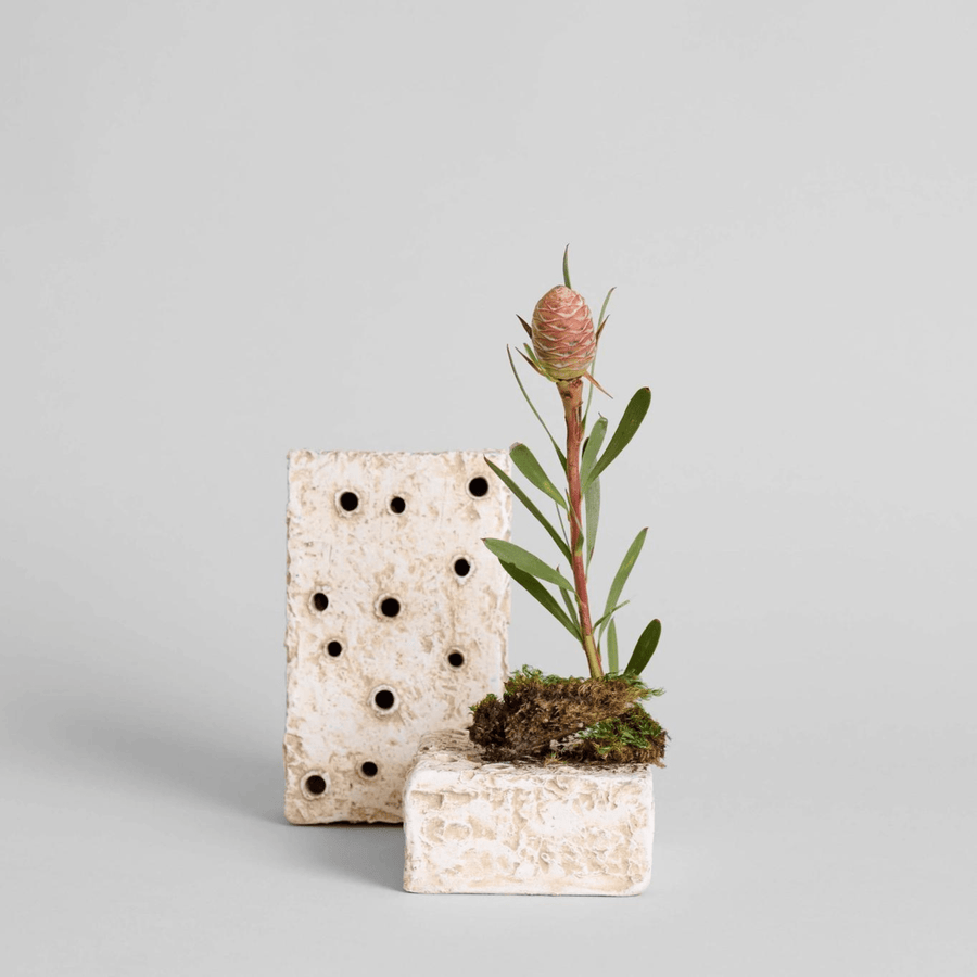 Cadine Vases Rectangle Briquette Flower Frog Vase - Weathered Off-White